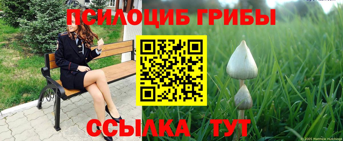 Галлюциногенные грибы Cubensis  магазин    Галлюциногенные грибы MAGIC MUSHROOMS  Старая Купавна  Вход с VPN 